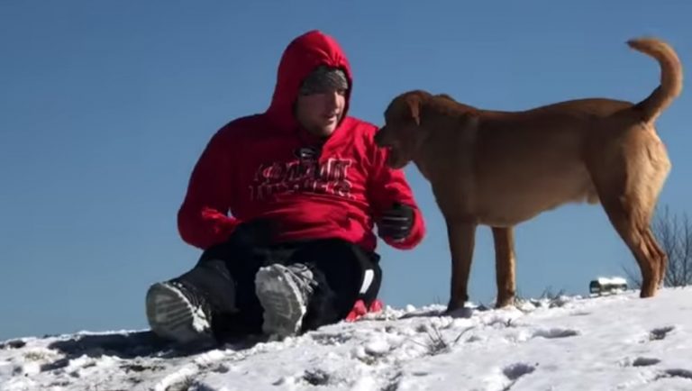 Dog Who Wants to Go Sledding With Dad Comes Up with Clever Idea