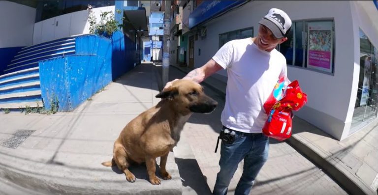 Steve-O Visits Peru and Finds a Street Dog Who Becomes His Best Friend