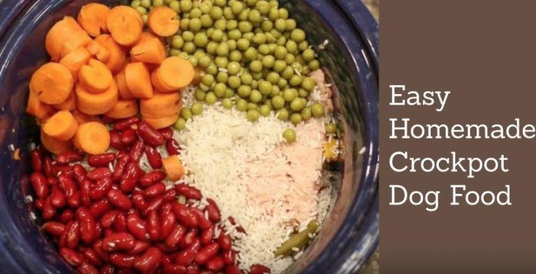 How to Make Crockpot Dog Food