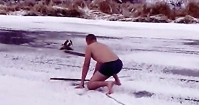 Man Breaks Through Ice with His Bare Hands to Save Family Dog
