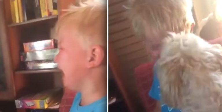 Dog Howls Along with Sobbing Toddler to Make Him Feel Better