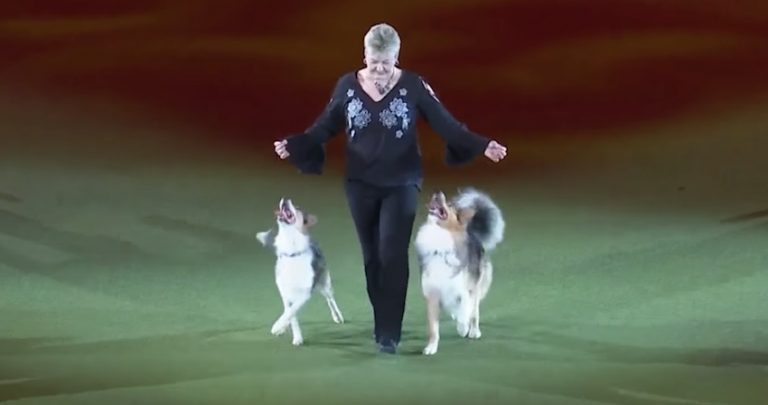 Mary Ray Performs One Last Time With Her Dogs in Magical Routine