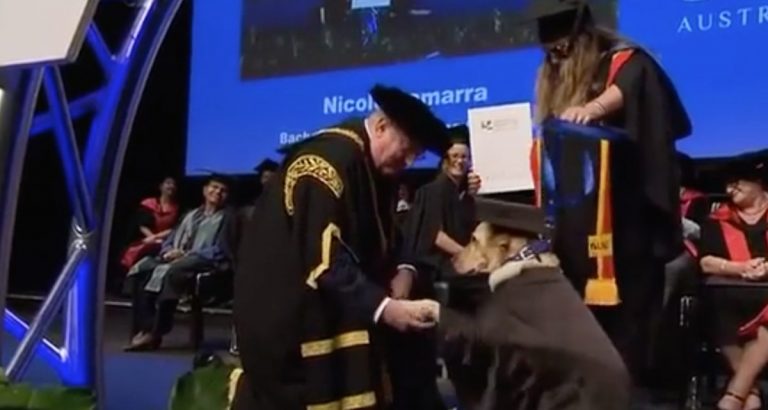 Legally Blind Woman and Her Guide Dog Take to the Stage to Graduate in Touching Moment