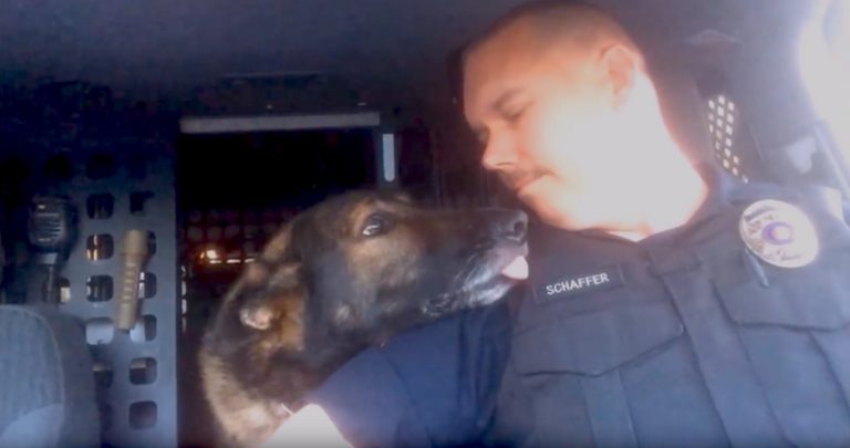 Officer Radios in K-9’s Retirement Call and They Share Emotional Goodbye