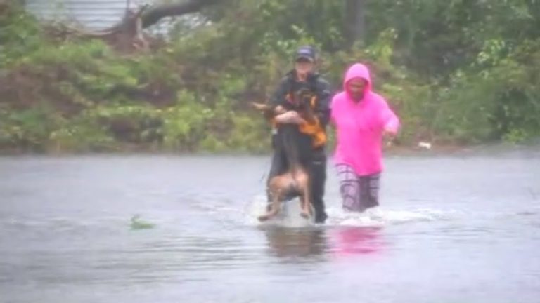 Hurricane Florence Reporter Rescues Dog From Flood Waters On Live Television
