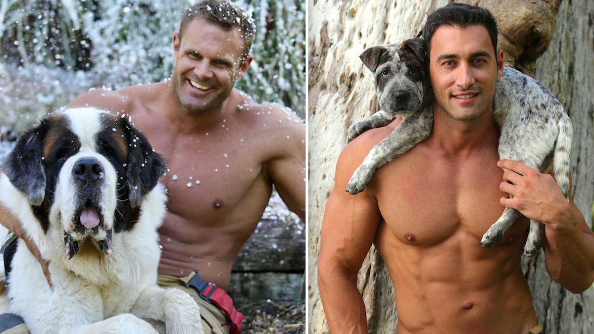 Hunky Australian Firefighters Snuggle With Rescue Dogs For Good Cause