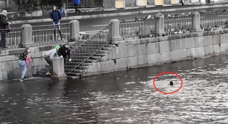 Man Tries to Save His Dog From Icy River, Both End Up Needing Rescue