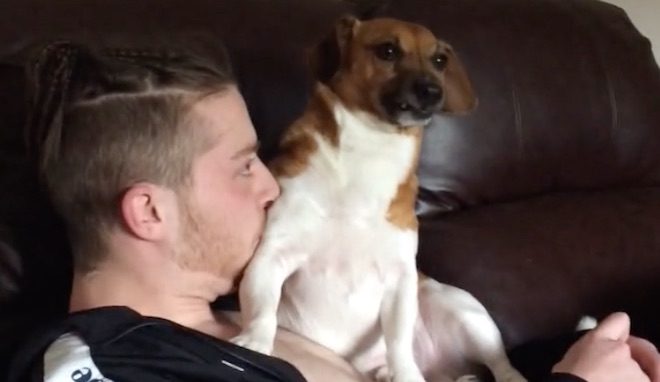 Puppy Hilariously Unsure How to React to Owner Blowing Raspberries