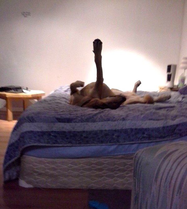 "Rock star pose." Photo credit: Melissa Casagrande‎