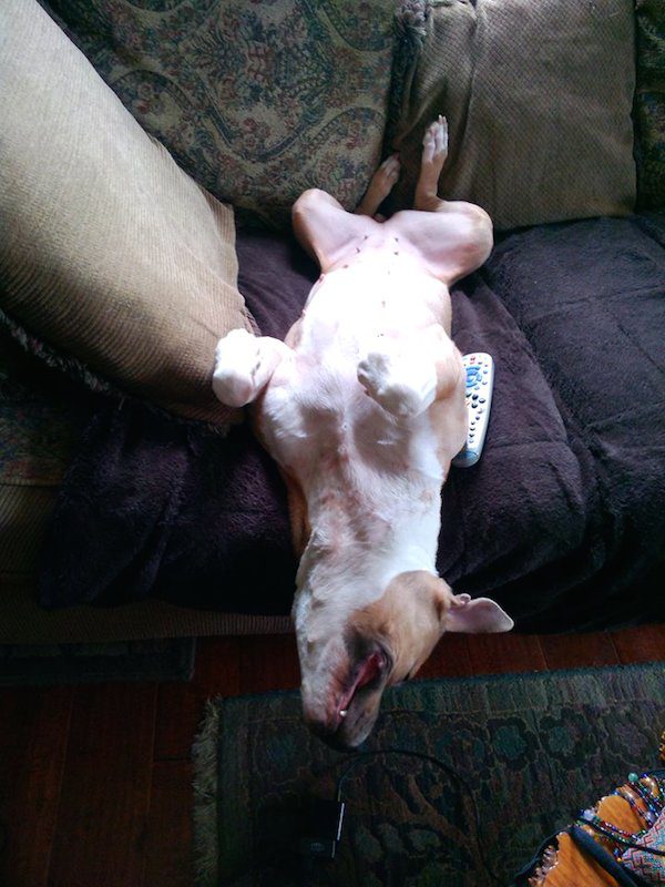 "I think she likes the head rush...." Photo credit: D.a. Shkursky