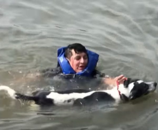 Gabe Castellanos rescues Harper