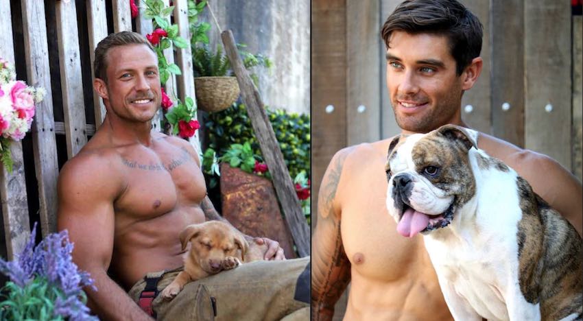 Smoking Hot Australian Firefighters Cuddle with Rescue Puppies for ...