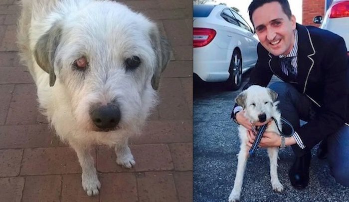 Shelter Dog Who Waited 15 years to Get Adopted Finally Finds Forever Home