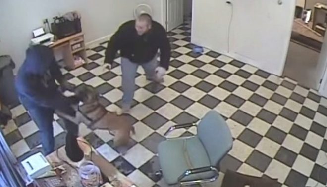 Dog Protects His Owner from Armed Robber