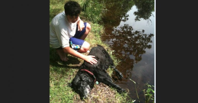 Heroic Teen Saves Elderly Dog from Drowning