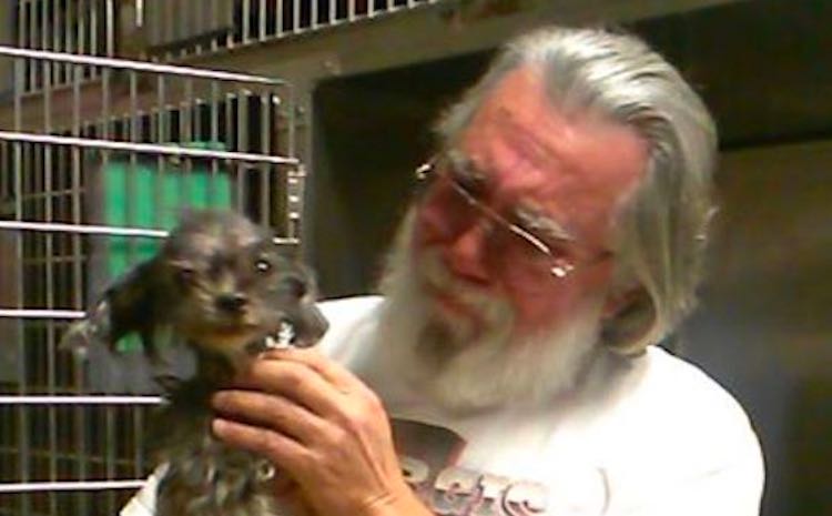 Heartwarming Reunion of Man and His Dog After 8 Years Apart