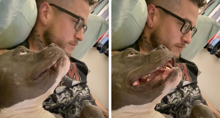 Sweet Dog Lets Her Dad Know She’s Not Getting Enough Attention