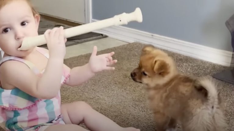 Baby Girl and Puppy Inherit Family’s Love Of Music and Grow Closer as a Result