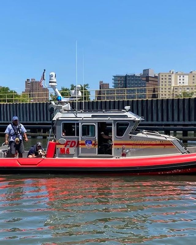 dog rescued from water at New York bridge