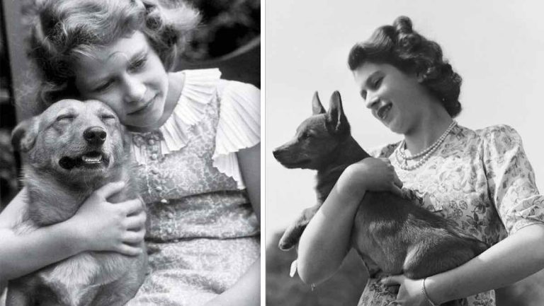 A Look Back at Queen Elizabeth II’s Love of Dogs
