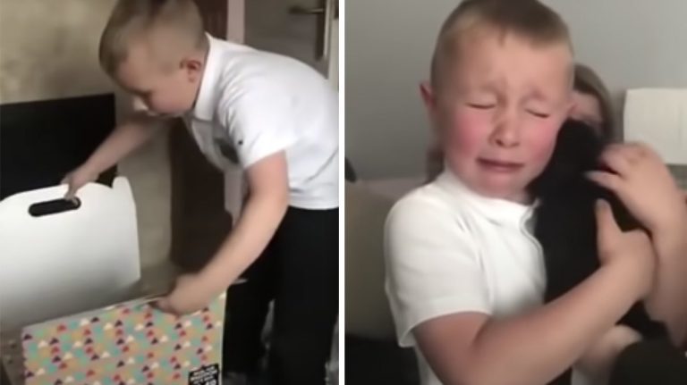 Parents Surprise Their Bullied Son With Puppy After School