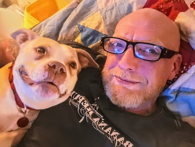 Molly adopted from Stray Rescue of St. Louis