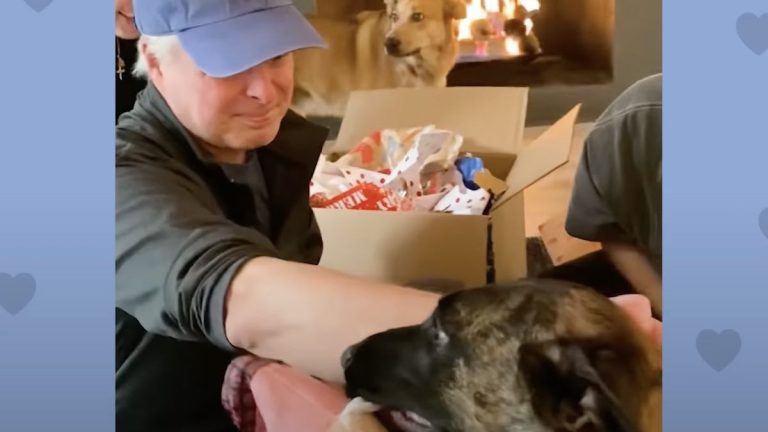 Dad Gets Emotional When He Realizes He Gets to Keep Foster Dog
