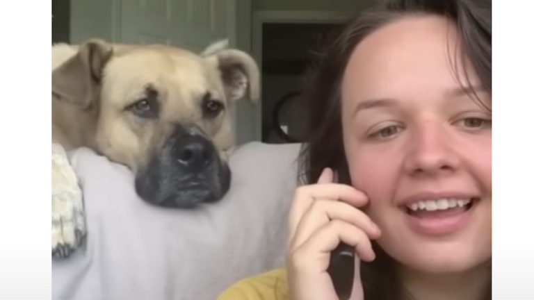Dog Gets So Excited When His Mom Says His Favorite Words