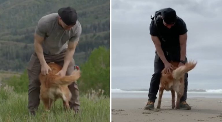 Dog Has Adorable Stompy Dance She Does Every Day With Her Dad