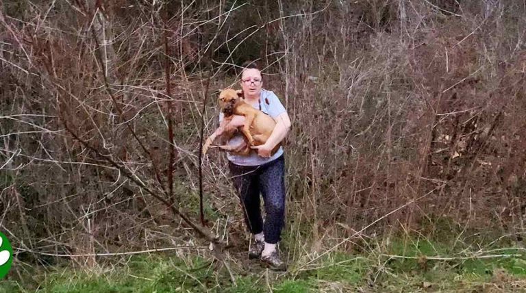 Couple Shocked When They Take Bait Dog Out of the Woods and Get a Better Look At Her