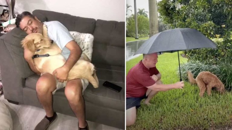 Dads Who Didn’t Want Dogs, The Truth Revealed in Sweetest Compilation Video