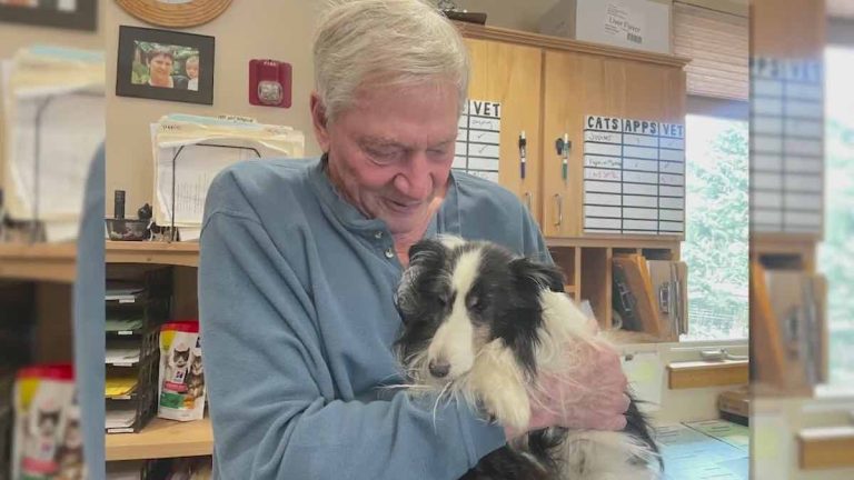 Sheltie Dog Lost in Mountains for 5 Weeks Randomly Found, Reunites with Dad