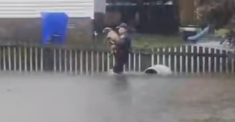 Police Officer Saves Pit Bull ‘Inches from Drowning’ in Floodwaters