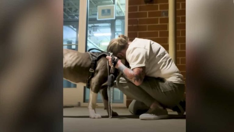 Shelter Dog Saved Just Hours Before He was to Be Put Down Melts Into Rescuer’s Arms
