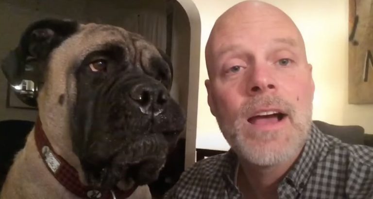 Bullmastiff Hilariously Hates His Dad Singing Christmas Songs