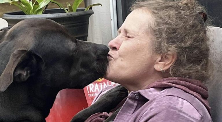 Shelter Dog Adopted After 5 Years Waiting Thanks to Community’s Gift