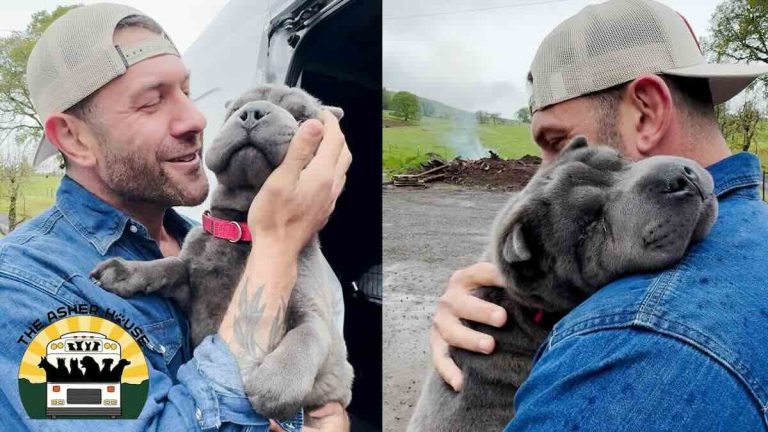 asher meets shar pei