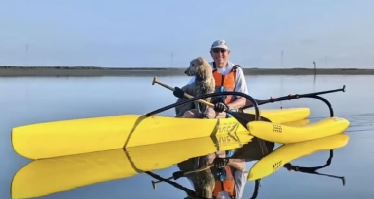 canoer saves lost dog