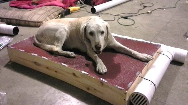 Man builds dog special cooling bed