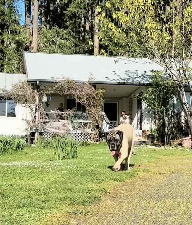Bertha at her new forever home.