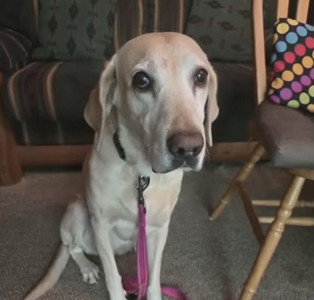 Sunny reunited with her family